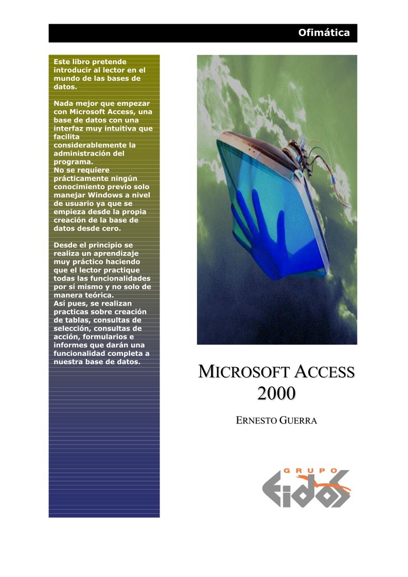 Imágen de pdf Microsoft Access 2000